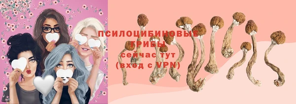 гидропоника Майский