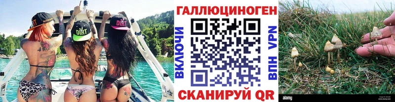 Псилоцибиновые грибы Psilocybe  Шиханы 